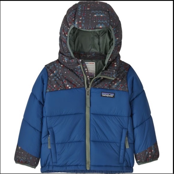 Patagonia Other - NWT Patagonia Synthetic Puffer Hoodie - Toddler Size 18M